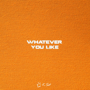 Whatever You Like (Explicit)