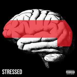 STRESSED II (feat. xtaye) [Explicit]