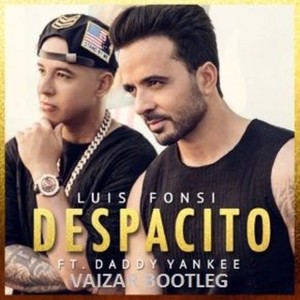 Despacito (Vaizar Bootleg)