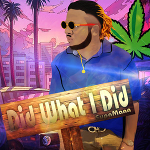 Did What I Did (Explicit)