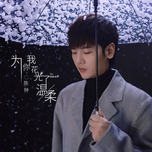 为你我花光了温柔 (伴奏)