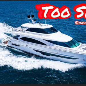 Too Smart (feat. Shaady! Peso) (Explicit)