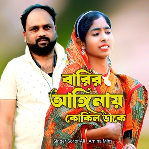 Babir Anginay Kokil Dake