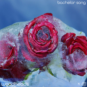 Bachelor Song