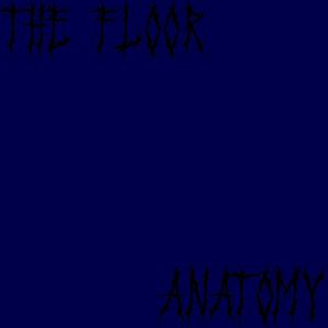ANATOMY (feat. The Floor) (Explicit)