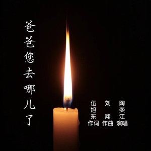 爸爸您去哪儿了（陶奕江）