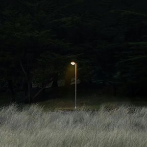 Charm and Rules (特雷门琴版)