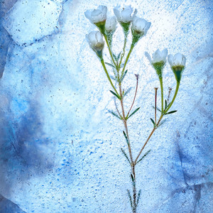 Cold Summer(feat. Noske)