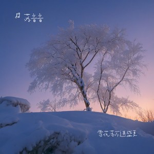 一个不能离一个不能娶