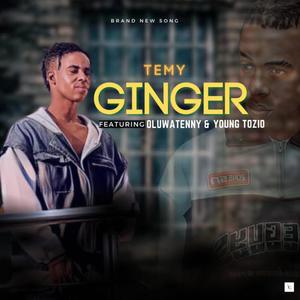 Ginger (feat. Oluwatenny & Young Tozio)