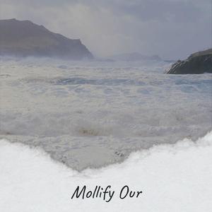 Mollify Our