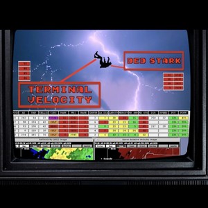 TERMINAL VELOCITY