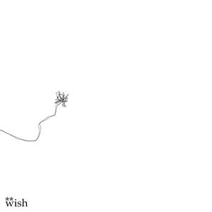 wish