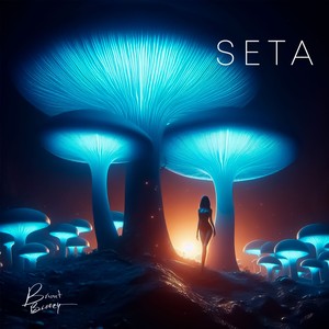 Seta (Explicit)