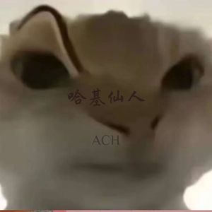 南北绿豆哈基 (呜噜噜)