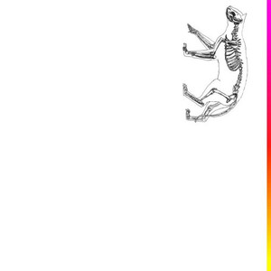 what it is ~ demo