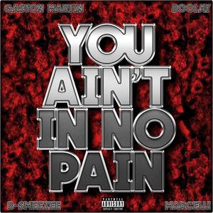 You aint in No Pain(feat. Boolay, Marcelli & B-Smeezee) (Explicit)