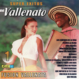 Super Exitos Del Vallenato 1