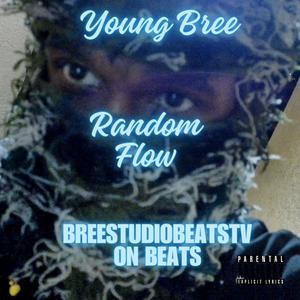 No Politics Not a Politician Flow (Just Army & Gangsta) (Explicit)