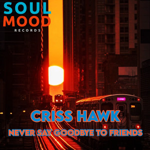 Criss Hawk - Never Say Goodbye To Friends (Original Mix)