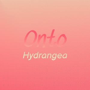 Onto Hydrangea