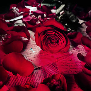 Roses (Explicit)