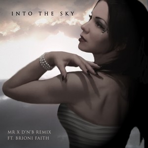 Into The Sky (Mr X Remix)