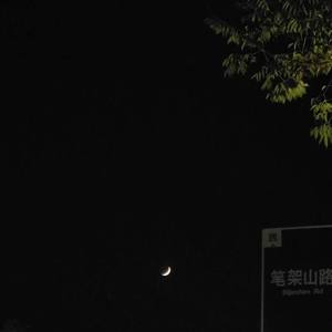 Beautiful moonlight