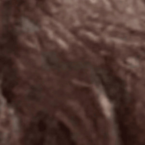 Aliens (Explicit)