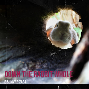 Down the Rabbit Whole (Explicit)