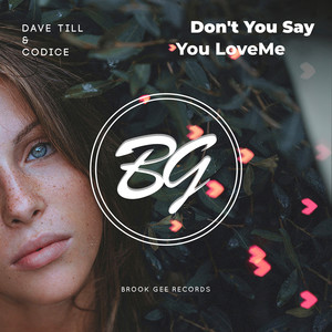 Don't You Say You Love Me (Original Mix)
