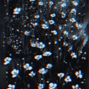 Jardín de Reyes (Inst.)