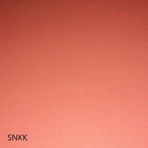 SNKK PERSONALITY (INST)