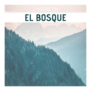 2 Horas en el Bosque - Música de Ambiente con Sonidos de la Naturaleza