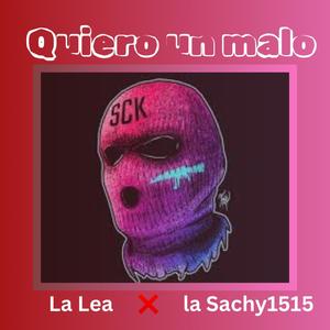 Quiero Un Malo (feat. La Sachy1515) [Explicit]