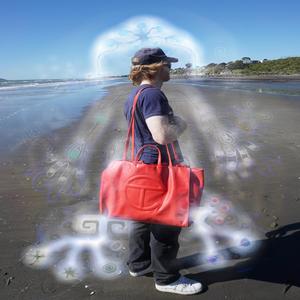 Wellywood (Explicit)