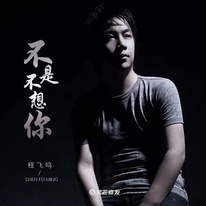 不是不想你 (伴奏)