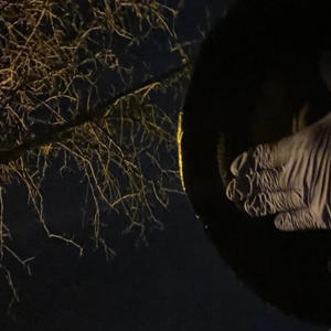 Response (feat. 5getoff) (Explicit)