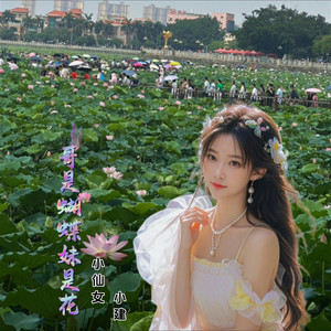 哥是蝴蝶妹是花