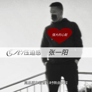 EA7压迫感（高品质车载音乐DJ舞曲天碟）