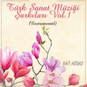 Türk Sanat Müziği Şarkıları, Vol. 1 (Instrumental)