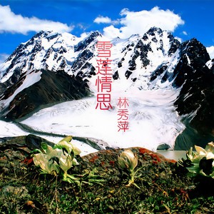 雪莲情思