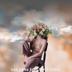 Les Sons Très Forts Maxy