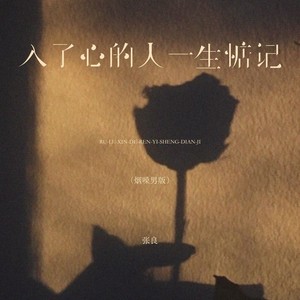入了心的人一生惦记-张良