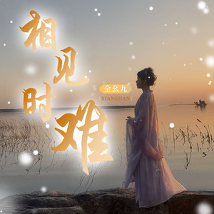 相见时难 (DJ-Siqe版)