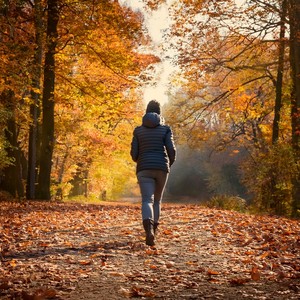 Between The Curtains, Soft Light Falls
