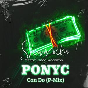 Can Do (feat. Sean Kingston & Ponyc) (P-Mix)