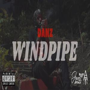 Windpipe (feat. Danz) [Explicit]