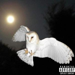 The Truth (Explicit)