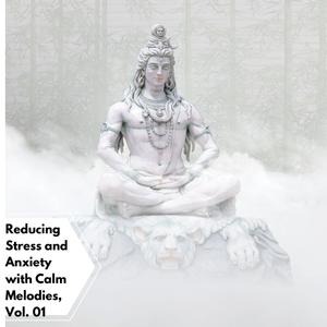 Reducing Stress And Anxiety With Calm Melodies, Vol. 01